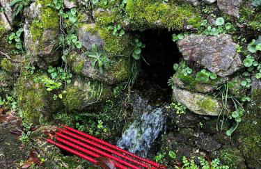 Sola Costeiro - Foto 14