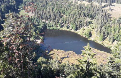 Ferienwohnung am Geißberg - Foto 4