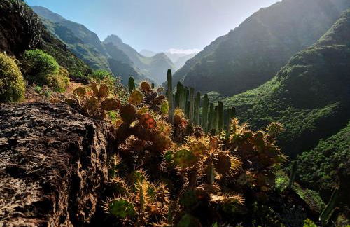 Suite Bufadero - Foto 41