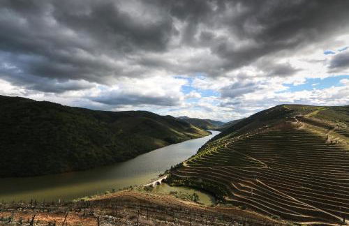 Casa da Barca - Foto 26