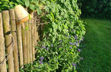 Oliwkowe Jerzykowo -klimatyzacja - Photo 22