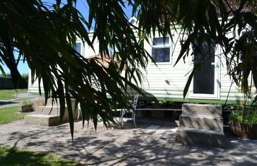 Swallows Return - Foto 24