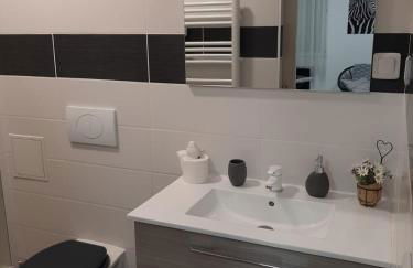 Appartement T1 Hyper Centre place de la Victoire - Foto 11