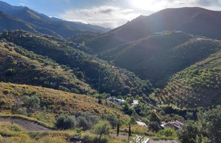 Finca Mulo Arriba - Foto 3