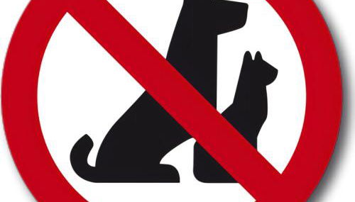 Appartement Indépendant dans le Résid hôtel idéal pour les vacances - séminaires - déplacements pro "L'Evidence du Golf " VEDENE - Foto 5