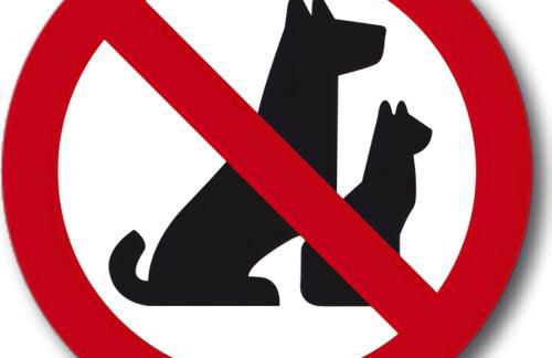 Appartement Indépendant dans le Résid hôtel idéal pour les vacances - séminaires - déplacements pro "L'Evidence du Golf " VEDENE - Foto 5