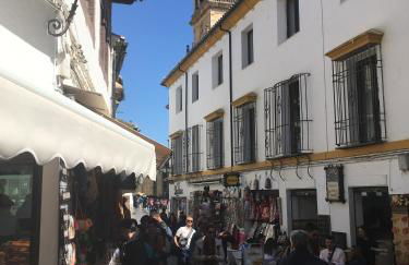 Conde de Vallellano - Foto 39