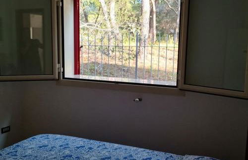 Villa immersa in pineta 100m dalla spiaggia - Foto 34