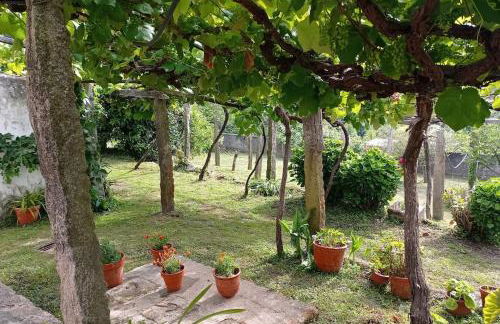 A Barraca. Casa con jardín y vistas a la ría - Foto 20