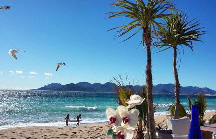 Appartement Cosy Calme Central-Terrasse Proche Palais - Foto 45