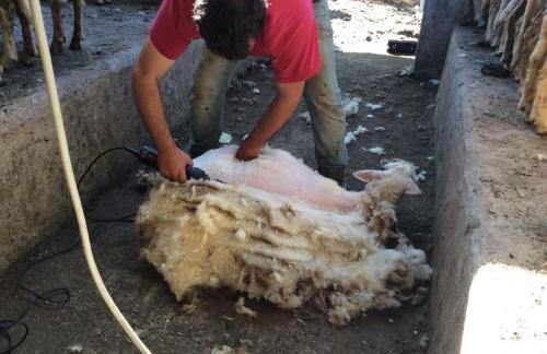 Tenuta Don Ballore Country Resort - Foto 87