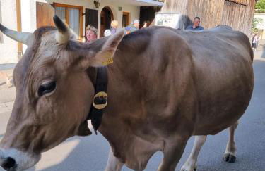Ferienwohnung Alpenglück mit Schwimmbad und Sauna - Photo 37