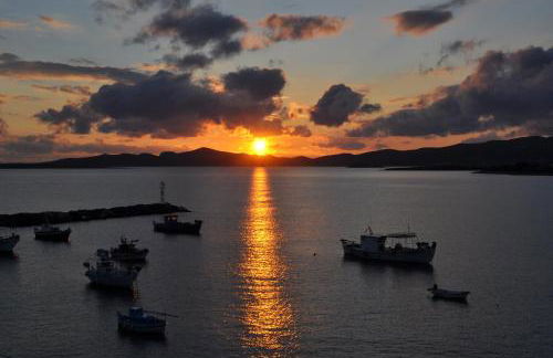 Helen's Minimal Studios & Apartments - Photo 61