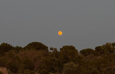 Domus Veretum - Foto 6