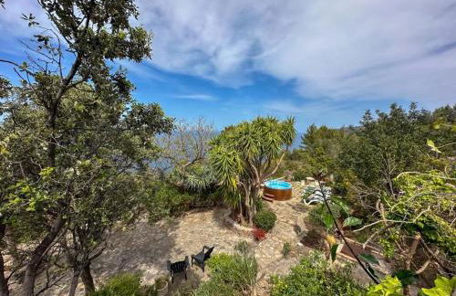 Vinya del mar - Foto 34