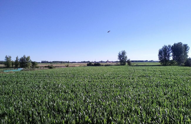 Casa Miguel y Sally - Photo 42