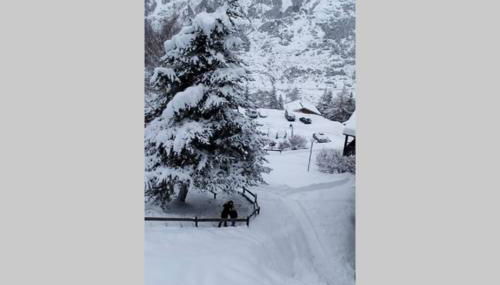 appartement en chalet au pied des pistes - Foto 4