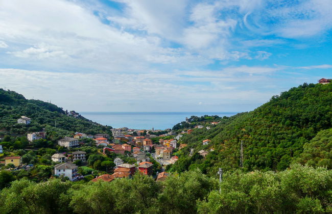 Sorvegallo - Foto 29