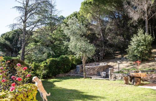 Villa Piscina La Trinità - Foto 63