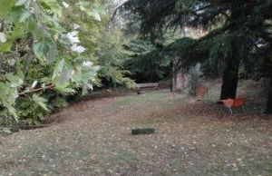 Casa Ramonda - Foto 19