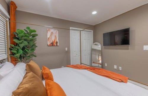 The Orange Oasis - Foto 12