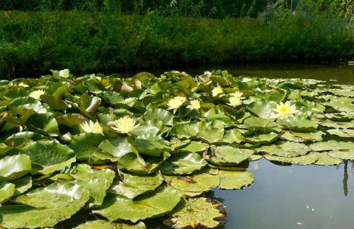 Żuławska Chata - Foto 13