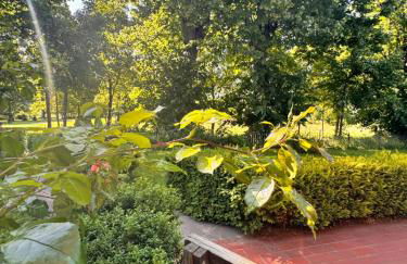 WiesenMeer - Foto 39