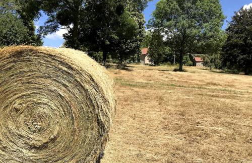 Maison du petit Poète - Foto 24