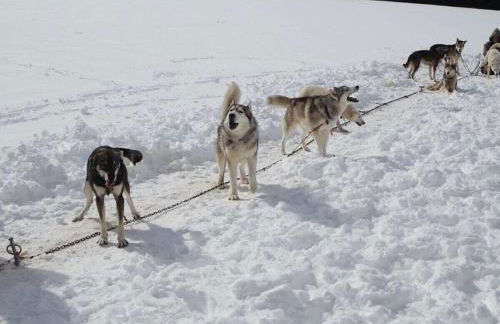 Holiday home with 3 bedrooms - Foto 19