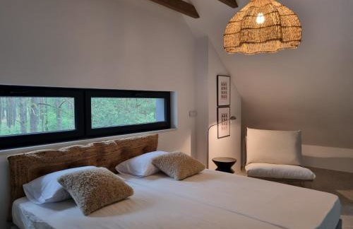 Czarna Chata - Foto 20