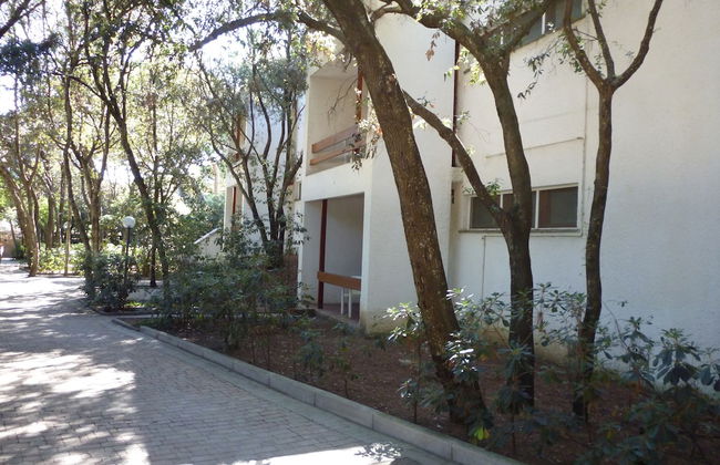 Baia Etrusca - Foto 5