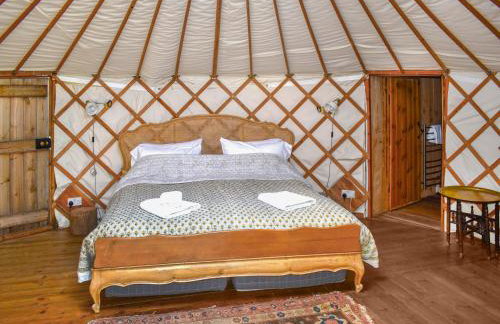 Pippin Yurt - Ukc6944 - Foto 8