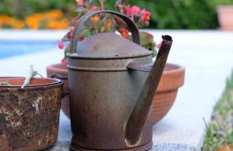 Casa Velha - Foto 13