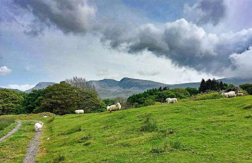 CaeEinion Cottage a Georgeous Rural Retreat Nr Dolgellau - Foto 7