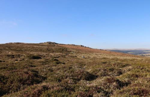 Beckaford View - Foto 34