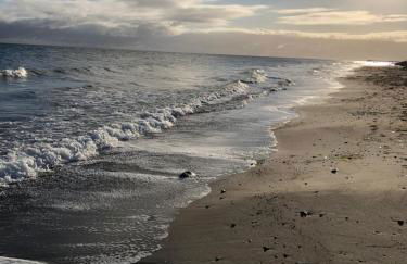 Strandhaus direkt am Meer Süssau - Foto 3