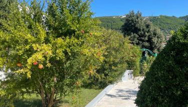 Apartments Ruža Mikelić - Foto 5, Garden view