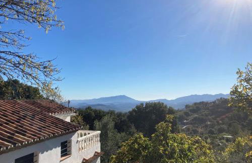 Casita La Pura Vida Yunquera - Foto 9