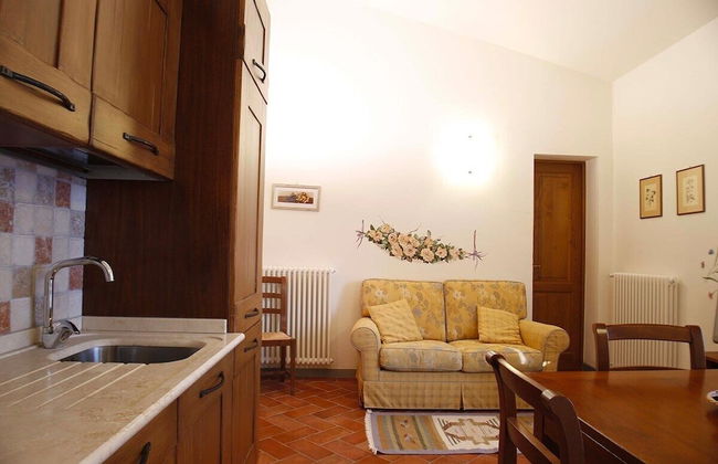 Gatto Bianco Tizzauli - Foto 28