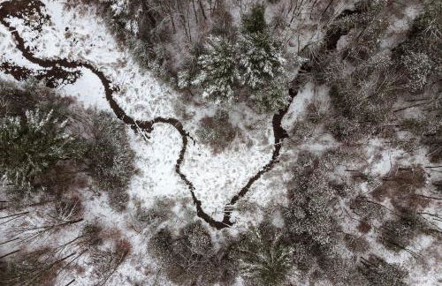 Cozy Log Cabin with an Indoor Fireplace Located on 70 Forested Acres in Leicester, Vermont - Foto 45