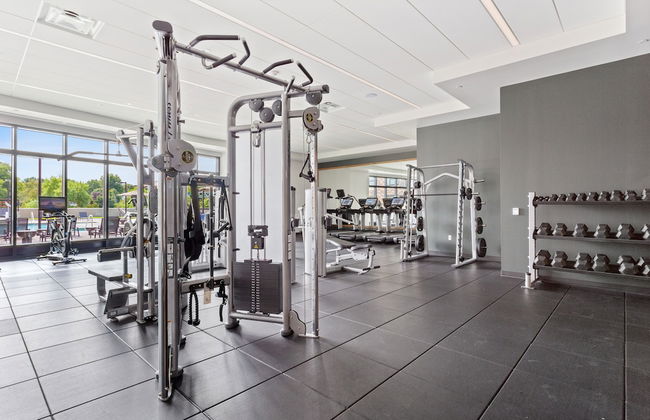 The Berkman - Photo 19