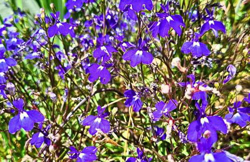 Infinity Wellness Apartment Hotel - Foto 148