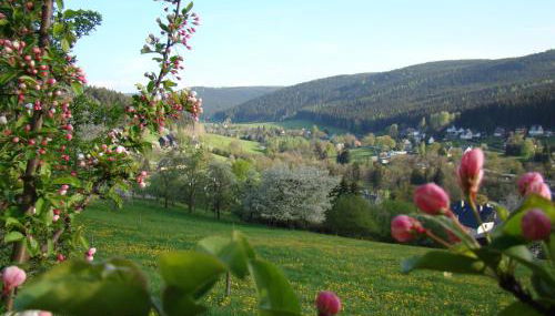 Ferienwohnung Lang - Foto 3