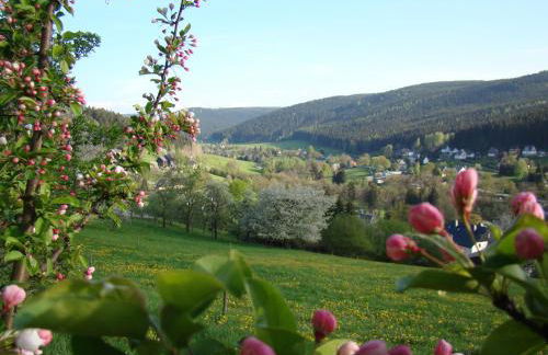 Ferienwohnung Lang - Foto 3