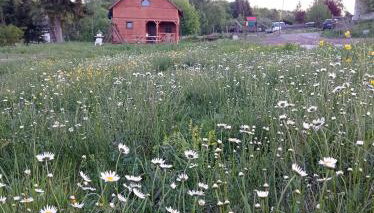 Domek nad Potokiem - Foto 4