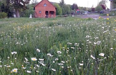 Domek nad Potokiem - Foto 4