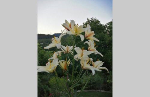 Nachhaltiges Wohnen in Seenähe - Foto 6