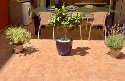 Petit Paradís - Foto 8