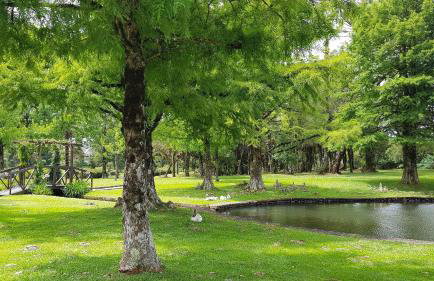 Fantástico Flat no Laje de Pedra Mountain Village - Foto 50