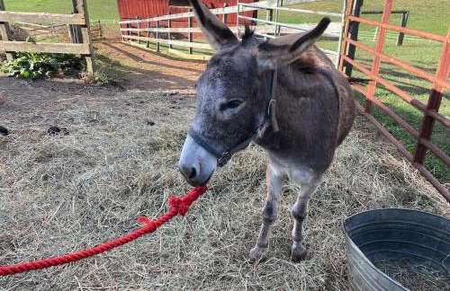 Gibbs Getaway - Foto 31